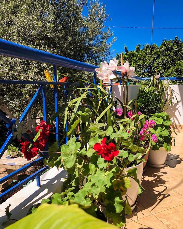 Vita Apartment - Spacious Garden And Balcony 5 Min To Beach & Center Ксаміл Екстер'єр фото