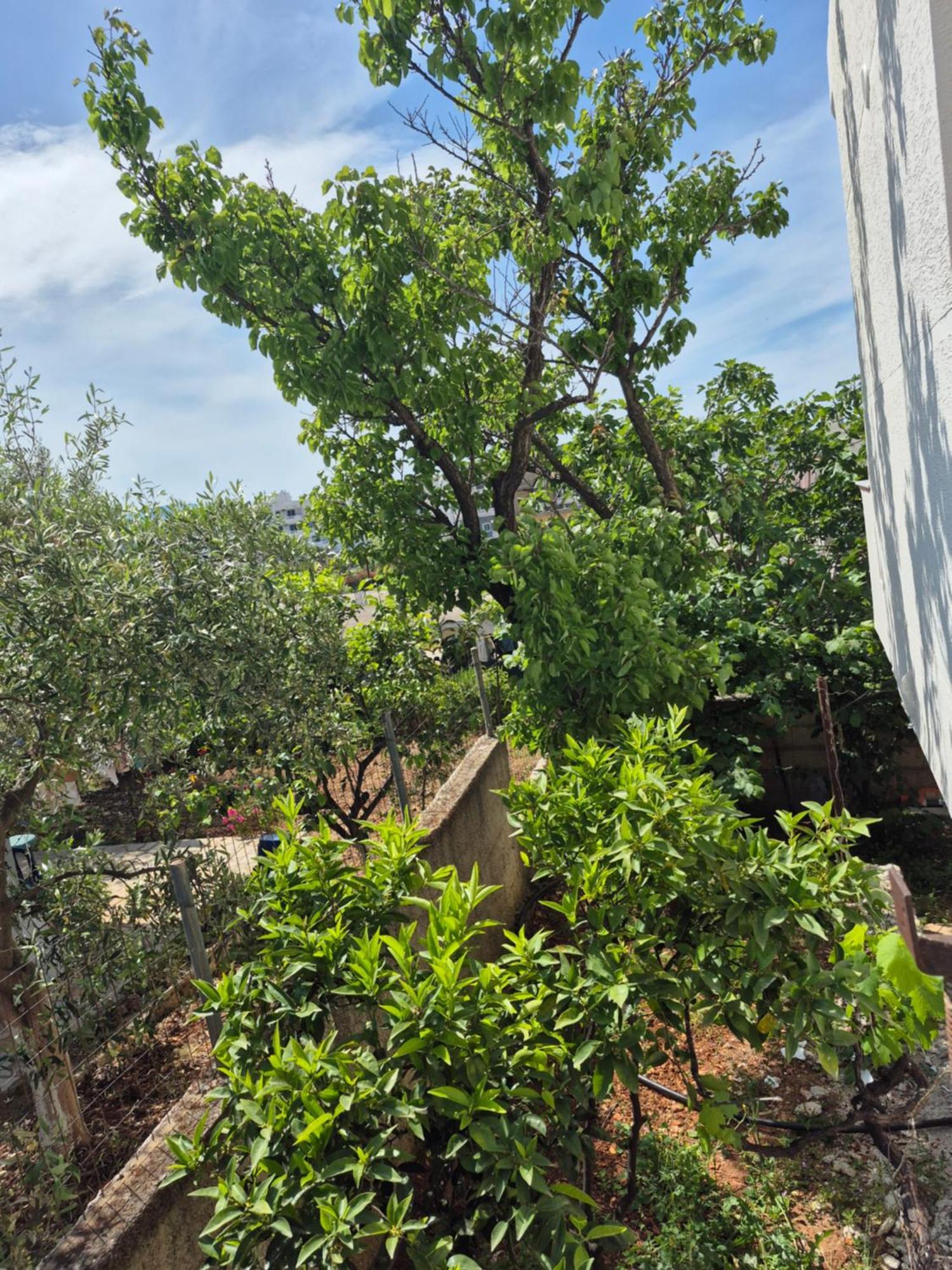 Vita Apartment - Spacious Garden And Balcony 5 Min To Beach & Center Ксаміл Екстер'єр фото