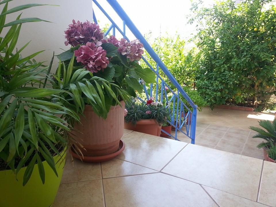 Vita Apartment - Spacious Garden And Balcony 5 Min To Beach & Center Ксаміл Екстер'єр фото